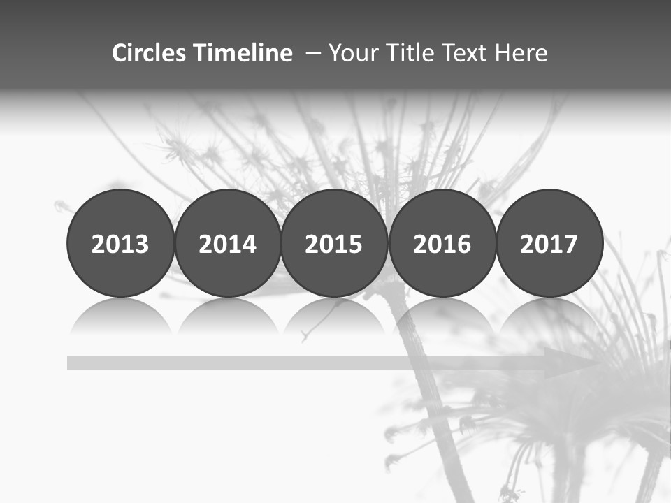 Black And White Light Flower PowerPoint Template