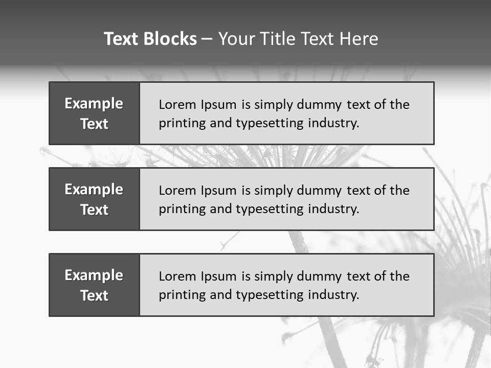 Black And White Light Flower PowerPoint Template