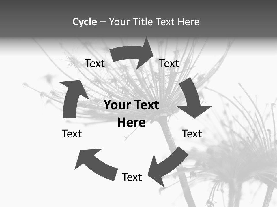 Black And White Light Flower PowerPoint Template