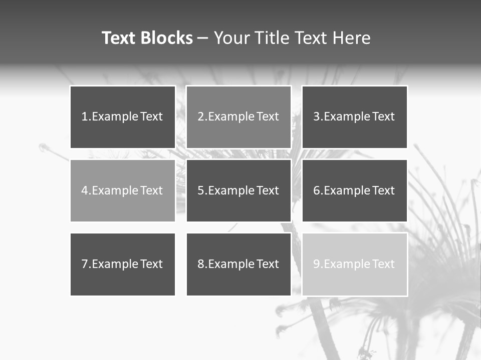 Black And White Light Flower PowerPoint Template