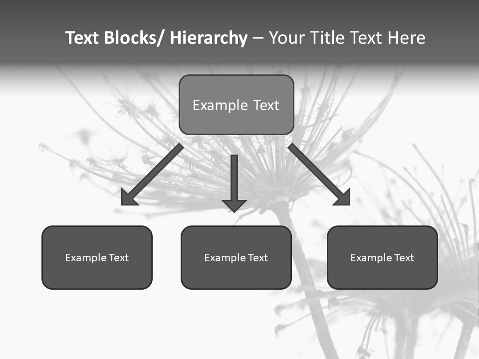 Black And White Light Flower PowerPoint Template
