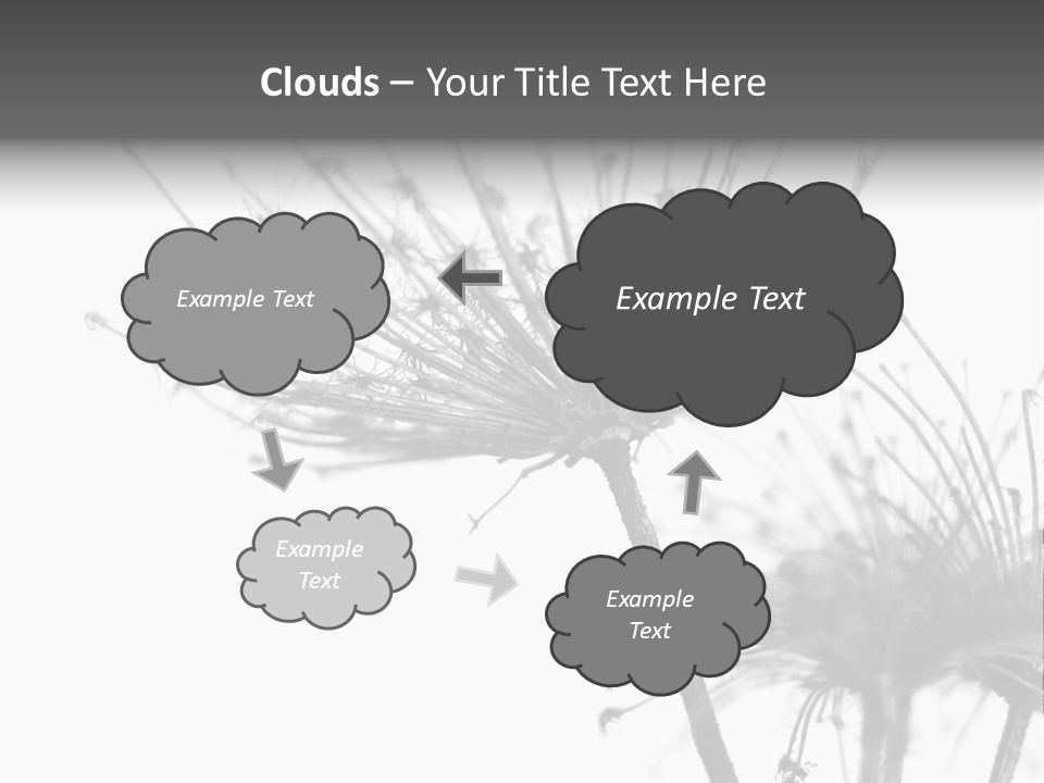 Black And White Light Flower PowerPoint Template
