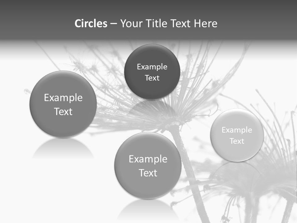 Black And White Light Flower PowerPoint Template