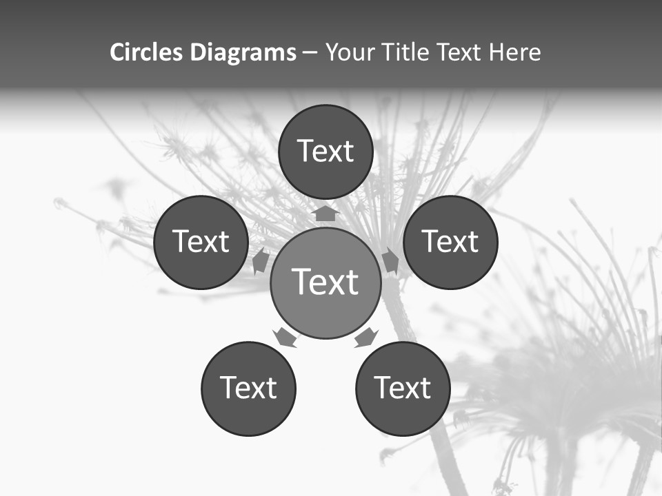 Black And White Light Flower PowerPoint Template