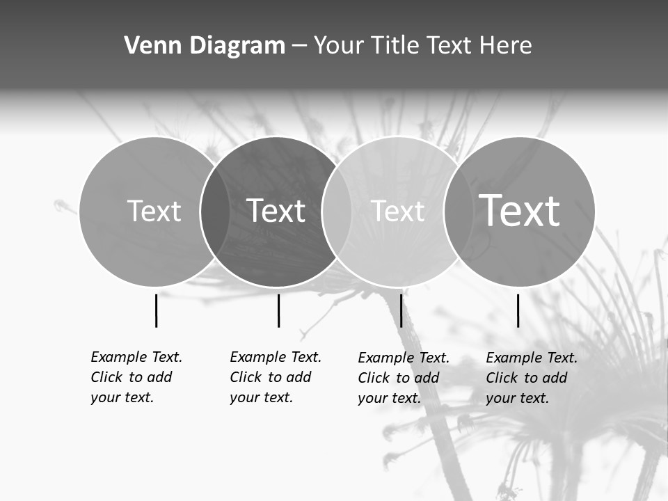 Black And White Light Flower PowerPoint Template