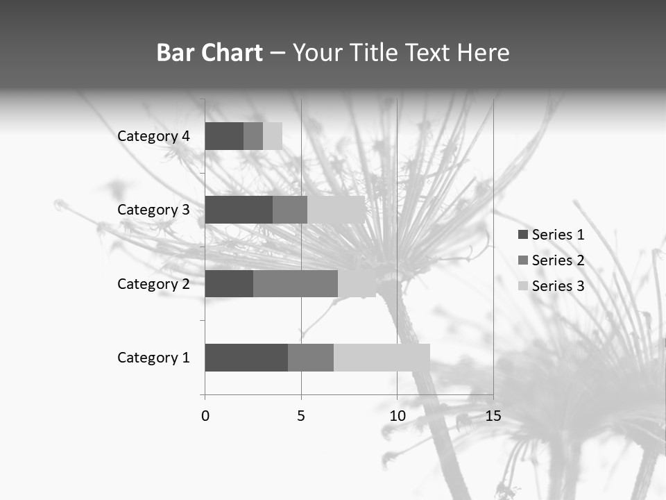 Black And White Light Flower PowerPoint Template