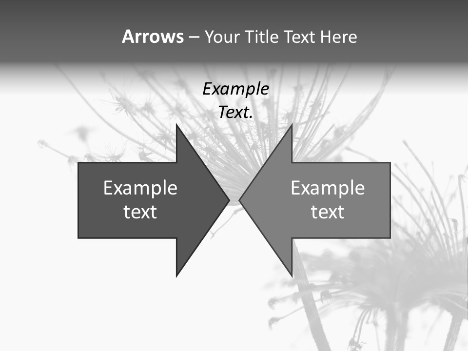 Black And White Light Flower PowerPoint Template