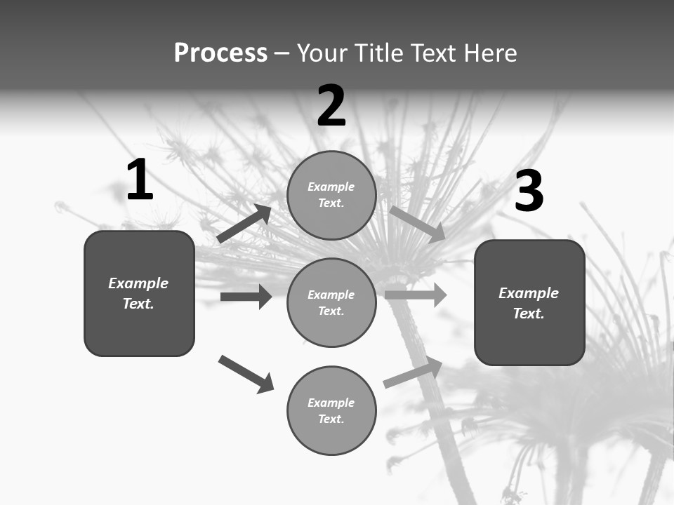 Black And White Light Flower PowerPoint Template