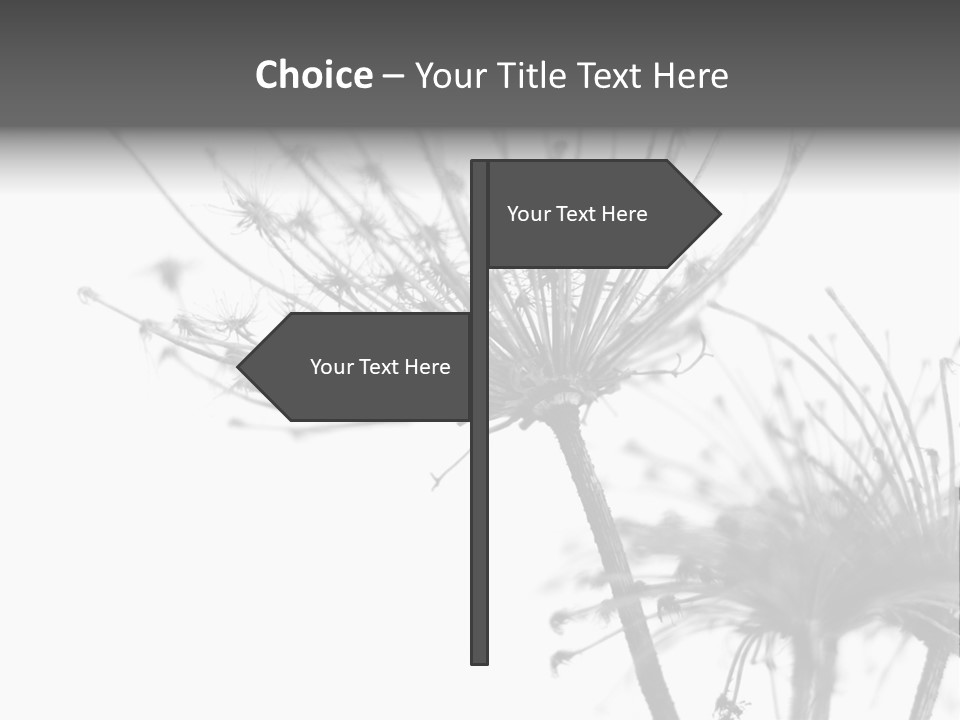 Black And White Light Flower PowerPoint Template