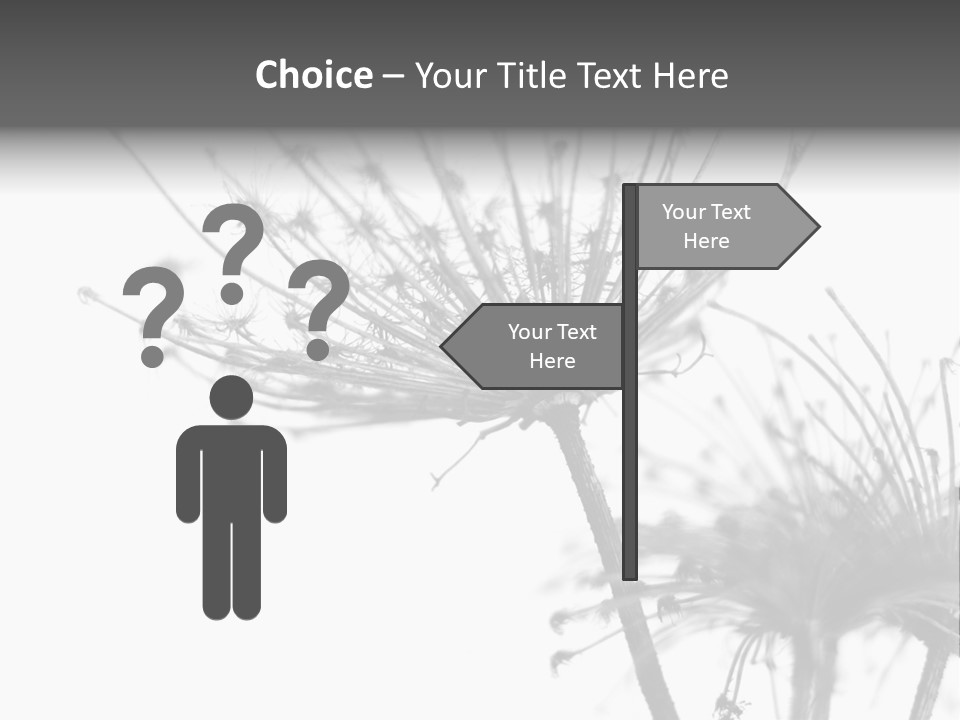 Black And White Light Flower PowerPoint Template