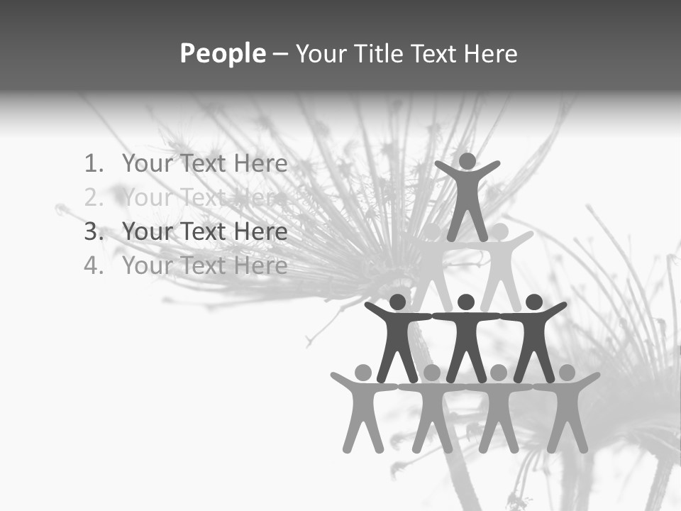 Black And White Light Flower PowerPoint Template