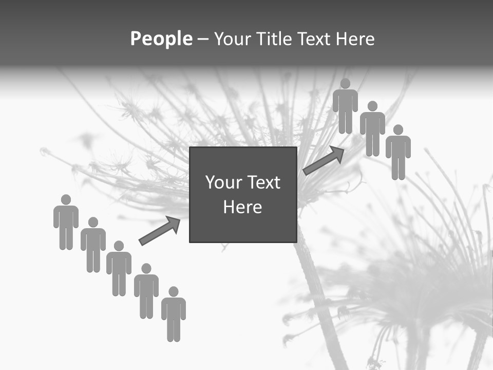 Black And White Light Flower PowerPoint Template