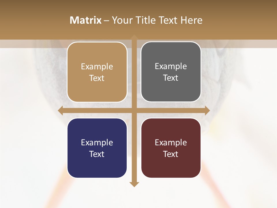 Saltwater Salt Coral PowerPoint Template