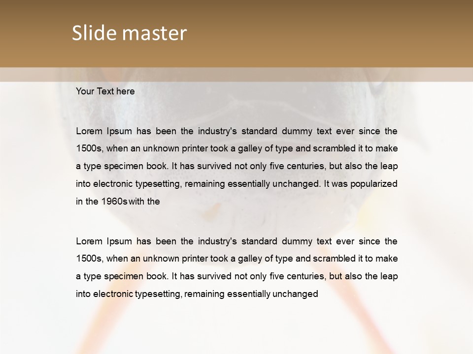 Saltwater Salt Coral PowerPoint Template