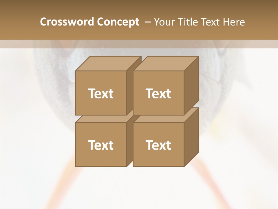 Saltwater Salt Coral PowerPoint Template