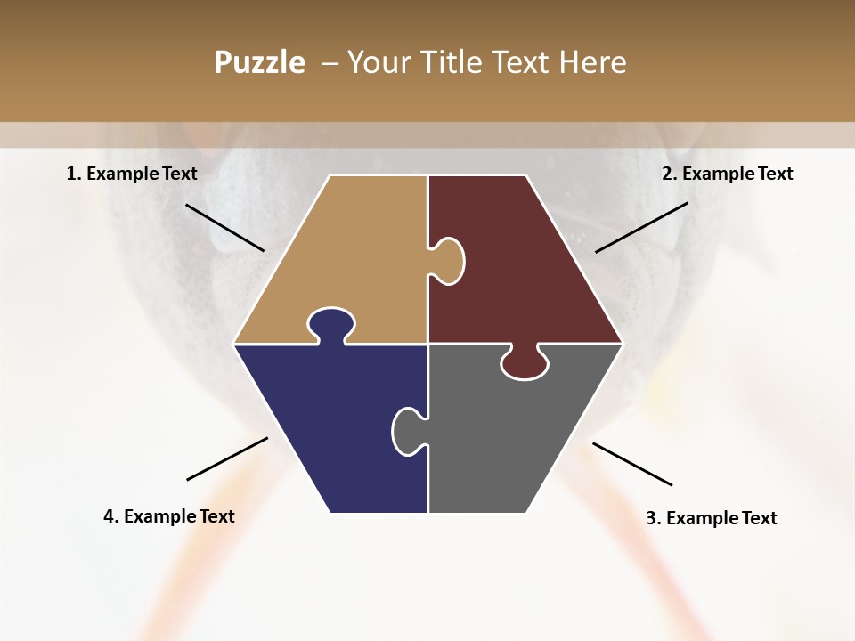 Saltwater Salt Coral PowerPoint Template