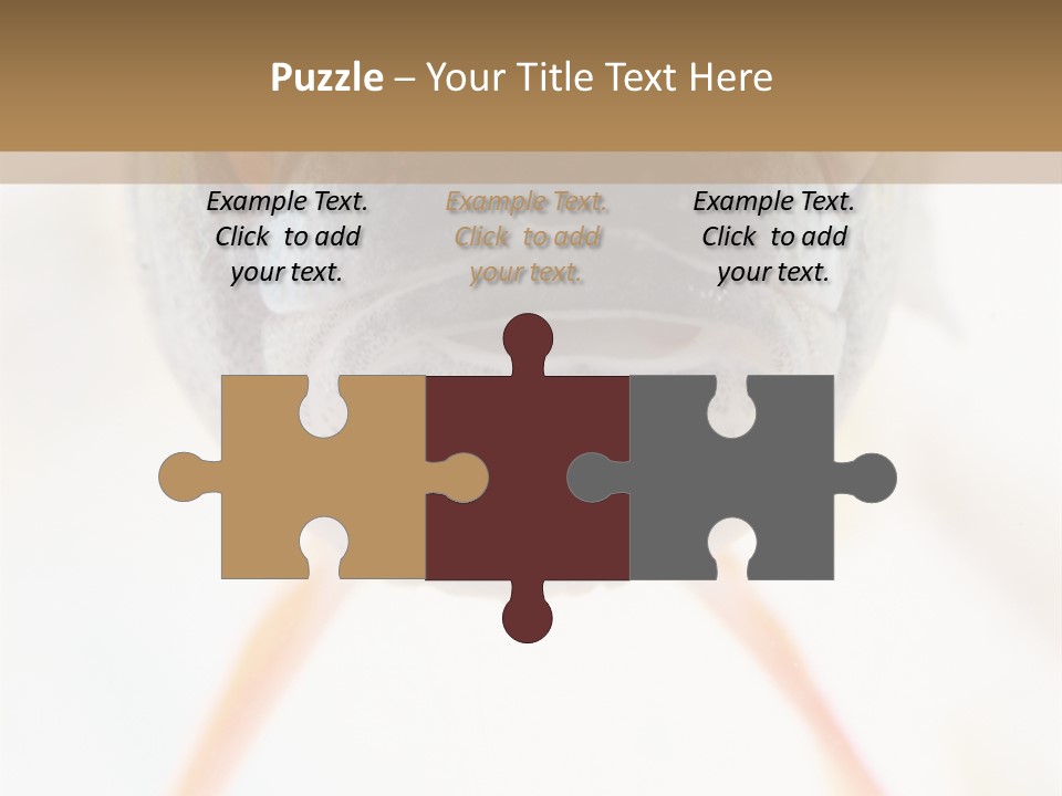 Saltwater Salt Coral PowerPoint Template