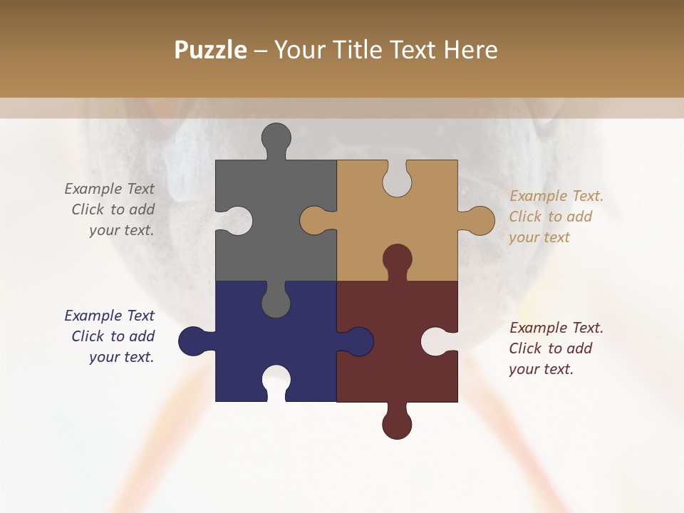 Saltwater Salt Coral PowerPoint Template