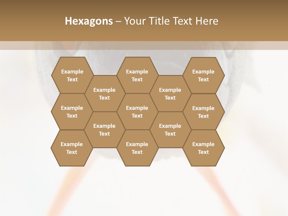 Saltwater Salt Coral PowerPoint Template