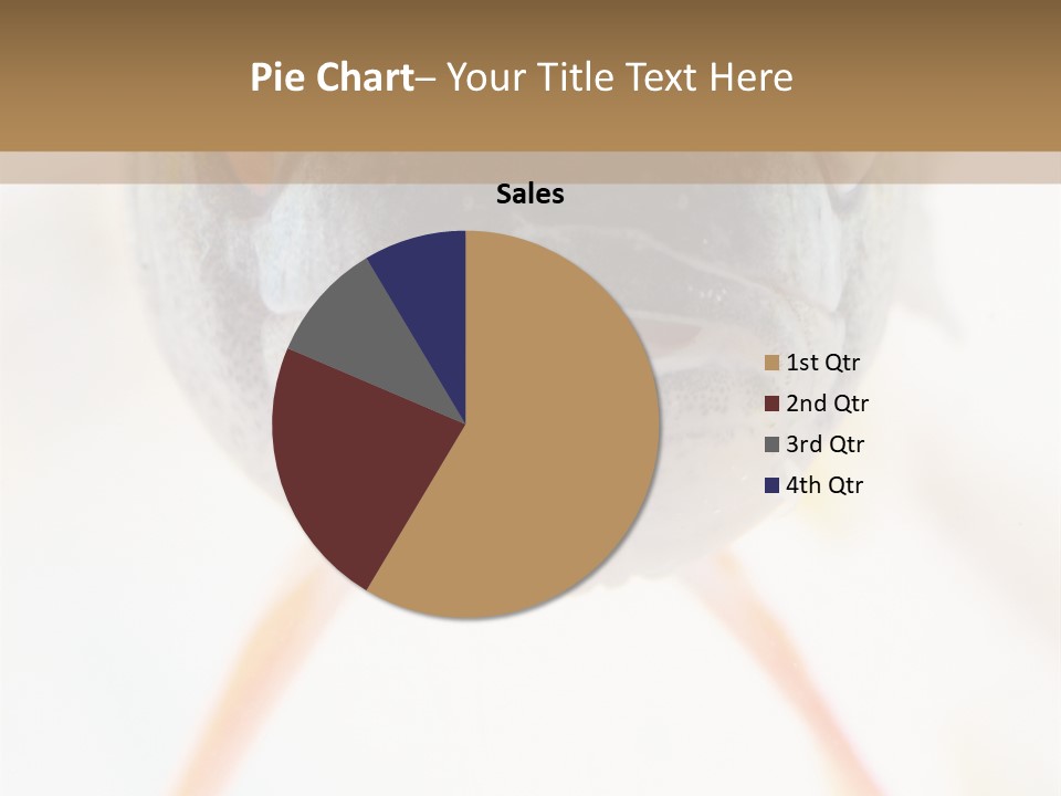 Saltwater Salt Coral PowerPoint Template