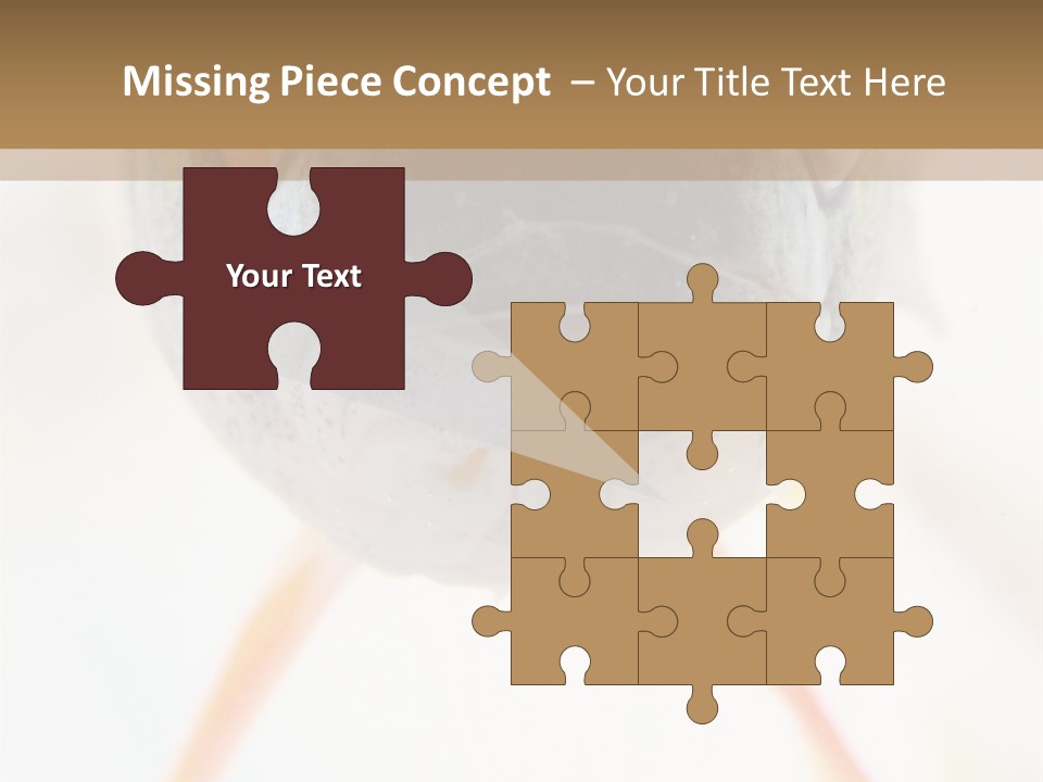 Saltwater Salt Coral PowerPoint Template