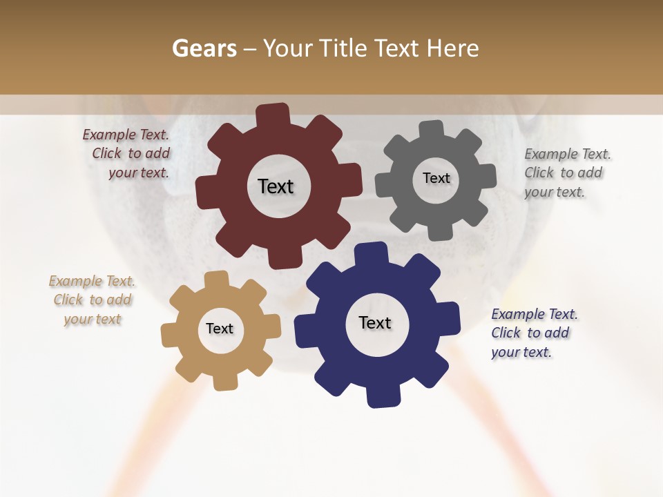 Saltwater Salt Coral PowerPoint Template