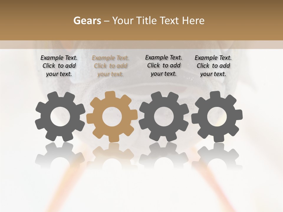 Saltwater Salt Coral PowerPoint Template