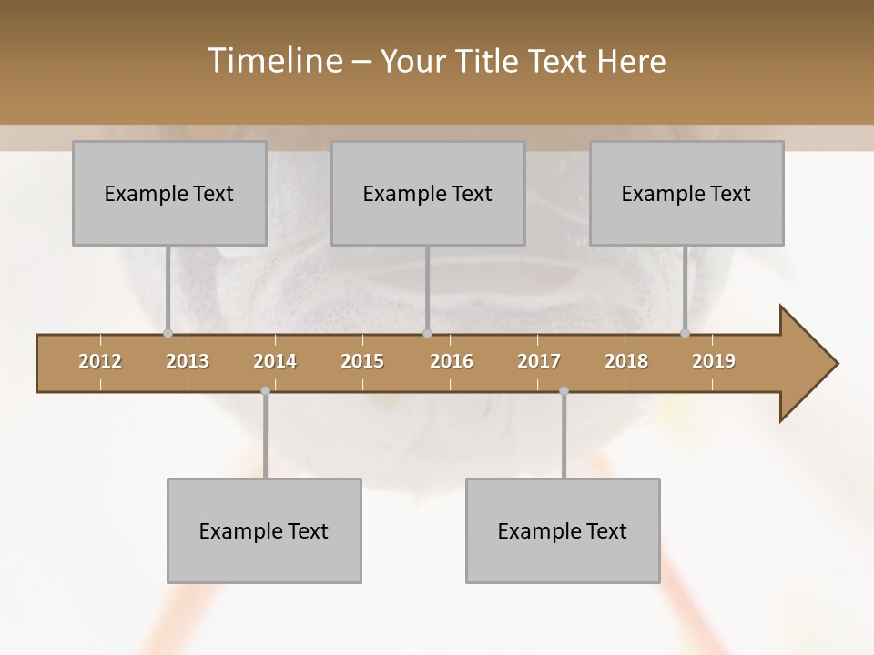 Saltwater Salt Coral PowerPoint Template