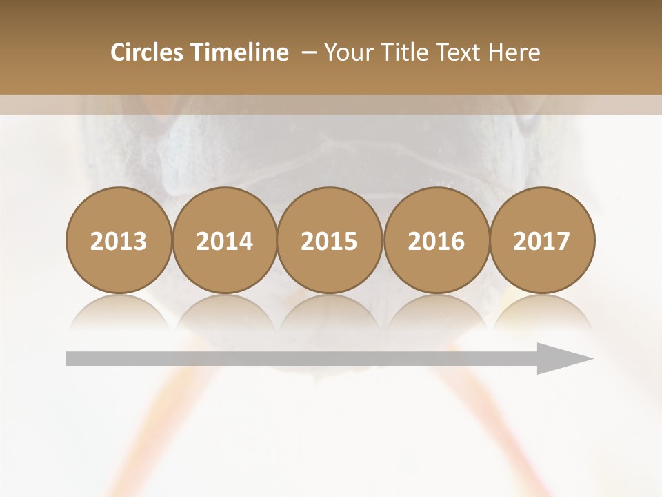 Saltwater Salt Coral PowerPoint Template