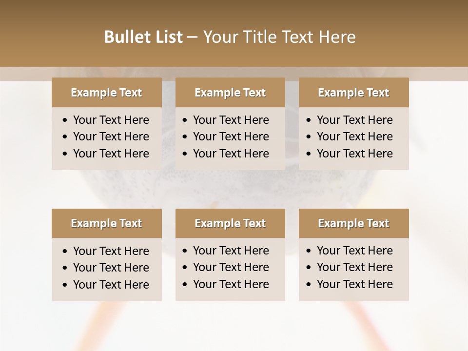 Saltwater Salt Coral PowerPoint Template