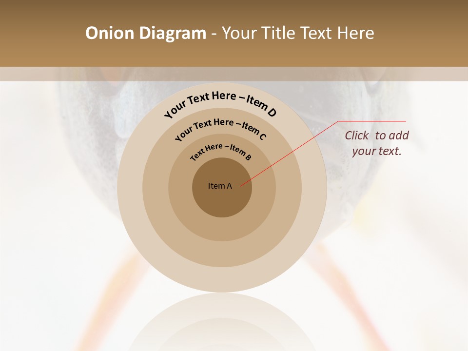 Saltwater Salt Coral PowerPoint Template