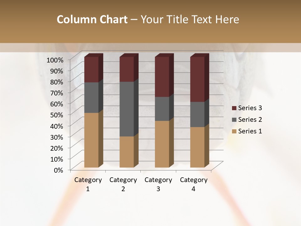 Saltwater Salt Coral PowerPoint Template