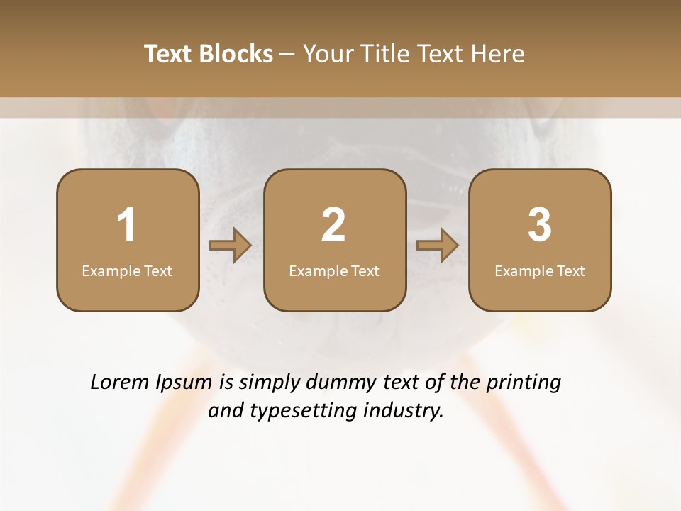 Saltwater Salt Coral PowerPoint Template