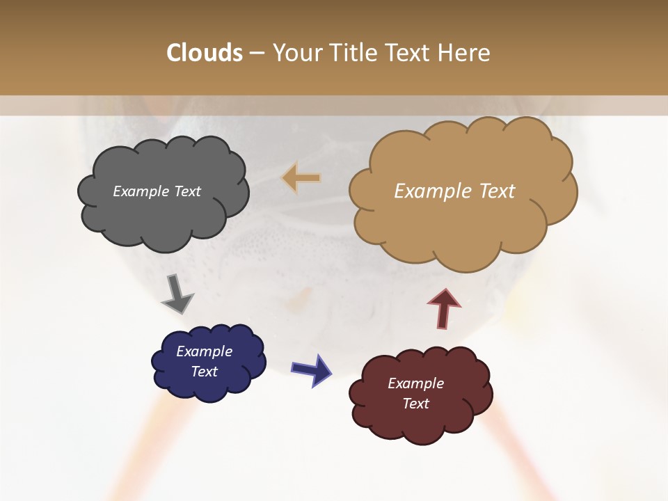 Saltwater Salt Coral PowerPoint Template