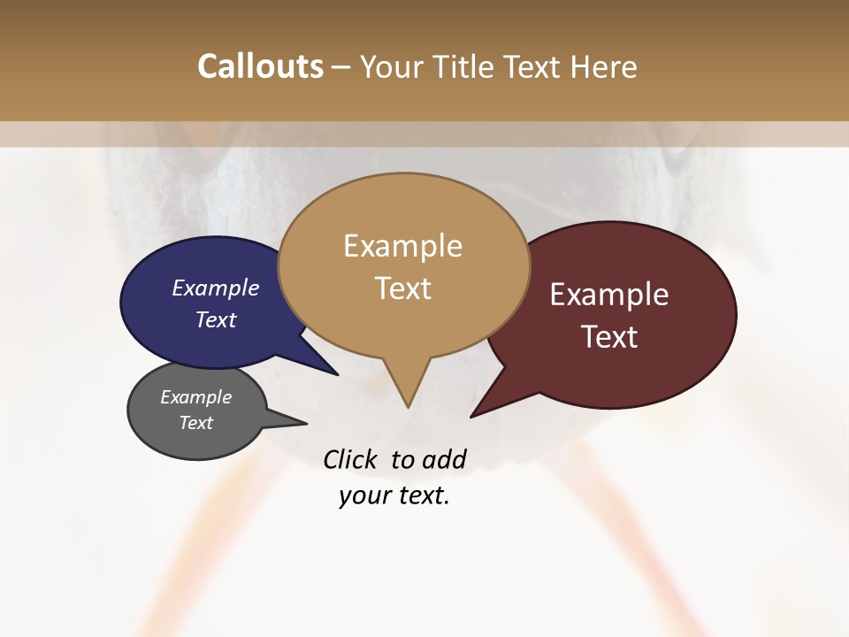 Saltwater Salt Coral PowerPoint Template