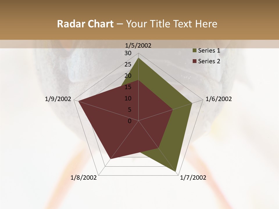 Saltwater Salt Coral PowerPoint Template