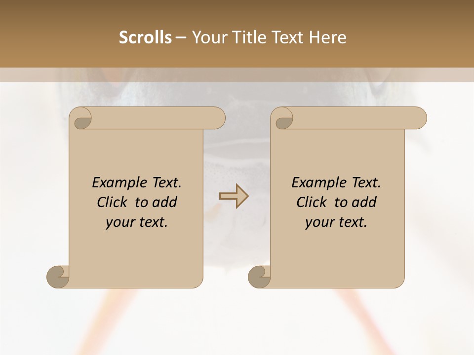 Saltwater Salt Coral PowerPoint Template