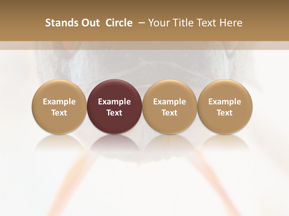 Saltwater Salt Coral PowerPoint Template