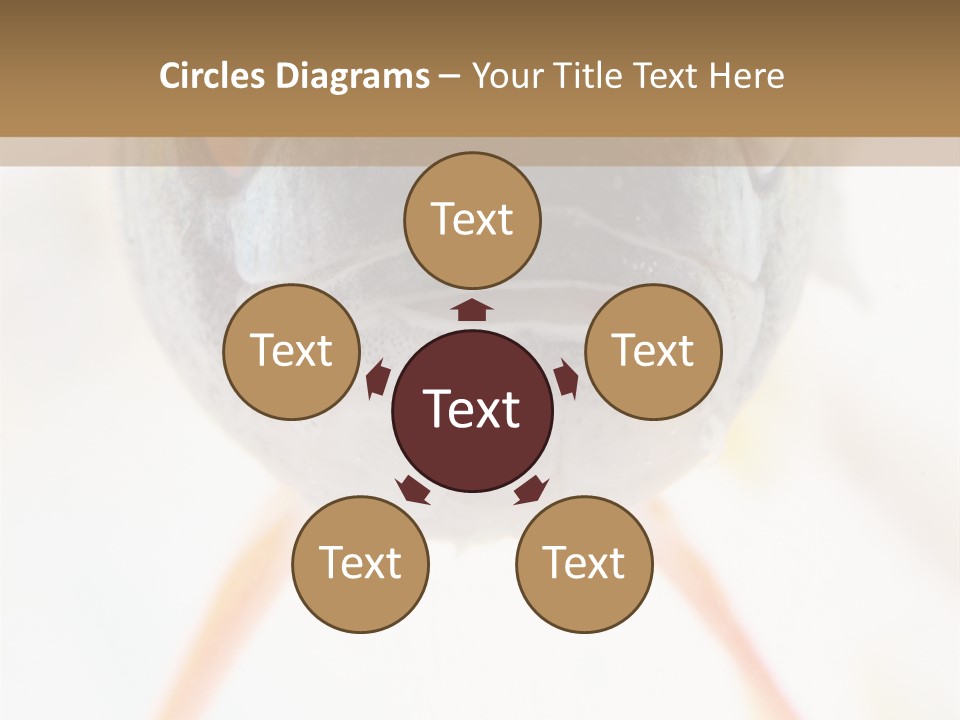 Saltwater Salt Coral PowerPoint Template