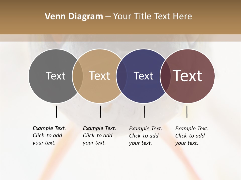 Saltwater Salt Coral PowerPoint Template