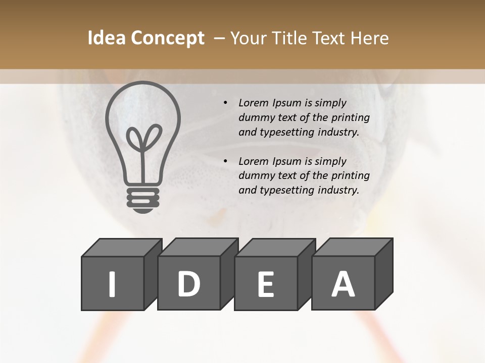 Saltwater Salt Coral PowerPoint Template