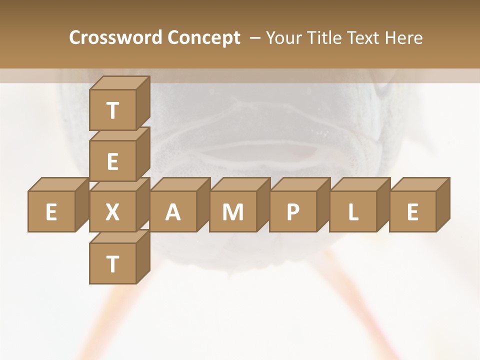 Saltwater Salt Coral PowerPoint Template