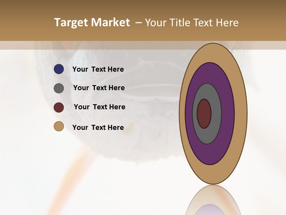 Saltwater Salt Coral PowerPoint Template