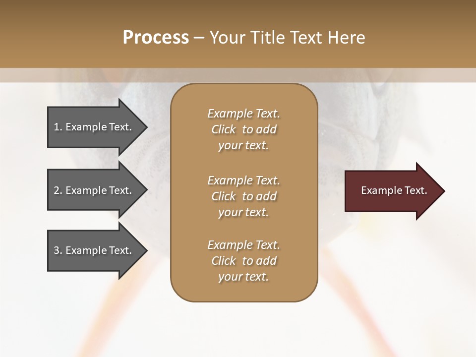 Saltwater Salt Coral PowerPoint Template