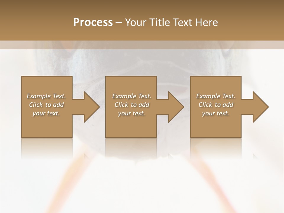 Saltwater Salt Coral PowerPoint Template