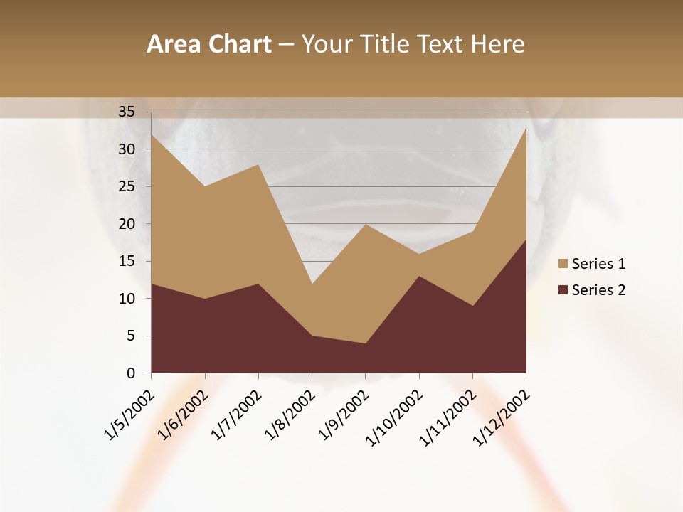 Saltwater Salt Coral PowerPoint Template