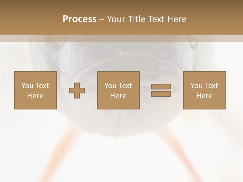 Saltwater Salt Coral PowerPoint Template
