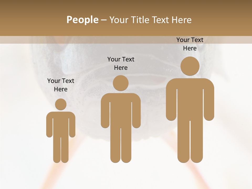 Saltwater Salt Coral PowerPoint Template