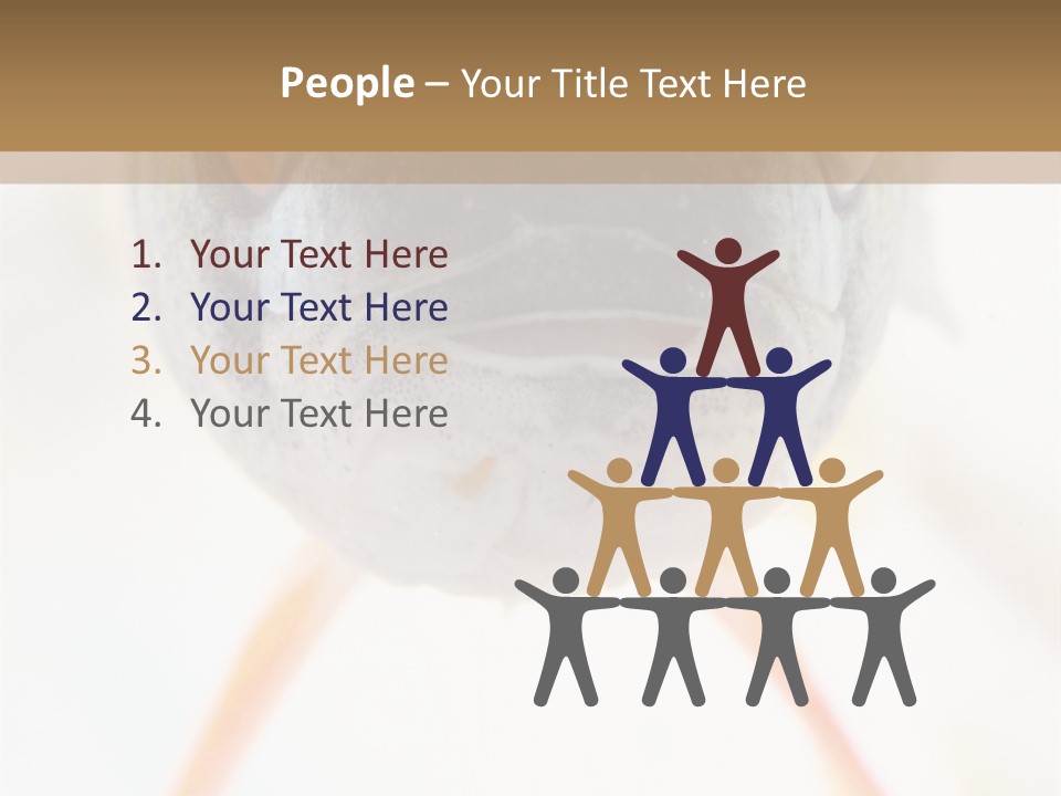 Saltwater Salt Coral PowerPoint Template