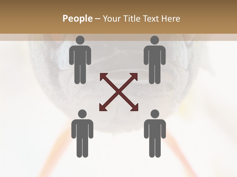 Saltwater Salt Coral PowerPoint Template